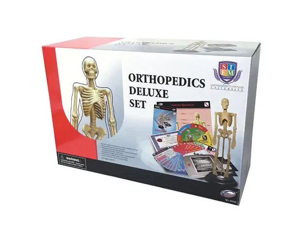 Set de ortopedie, Eastcolight, Corpul uman