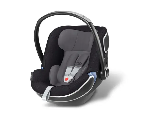 Cos auto Gb Idan, 0-13 kg, Silver Fox Grey