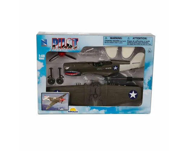 Avion de lupta cu pilot, New Ray, P-40, 1:48