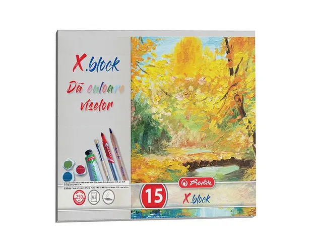 Bloc desen Herlitz X Block, A3, 15 file, Policrom