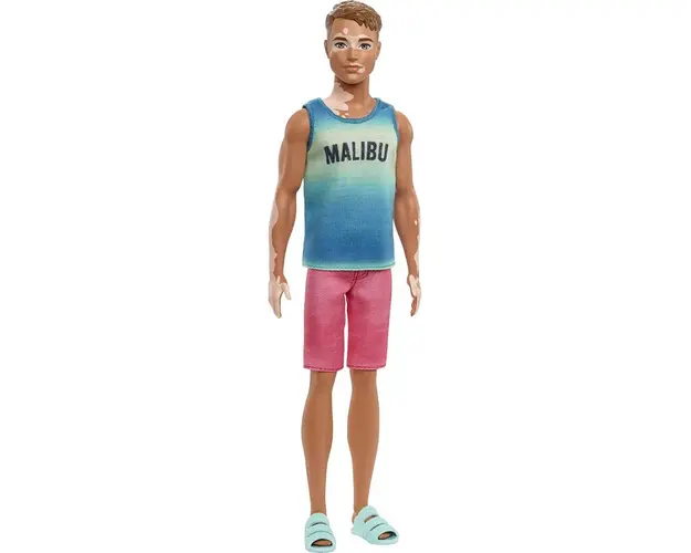 Papusa Barbie Fashionista, Ken, HBV26