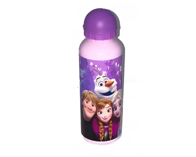 Termos din aluminiu Disney Frozen