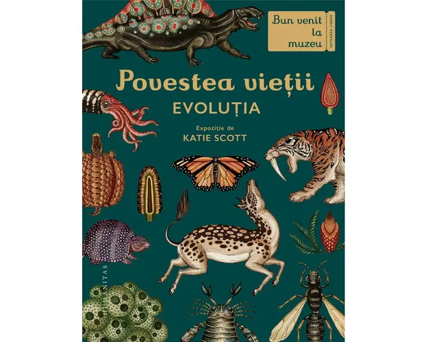 Carte Editura Humanitas, Povestea vietii: Evolutia, Fiona Munro