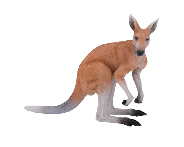 Figurina Mojo, Cangur