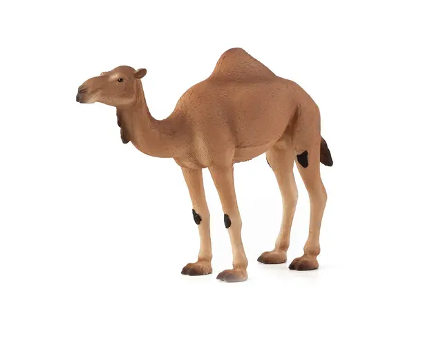 Figurina Mojo, Camila Araba