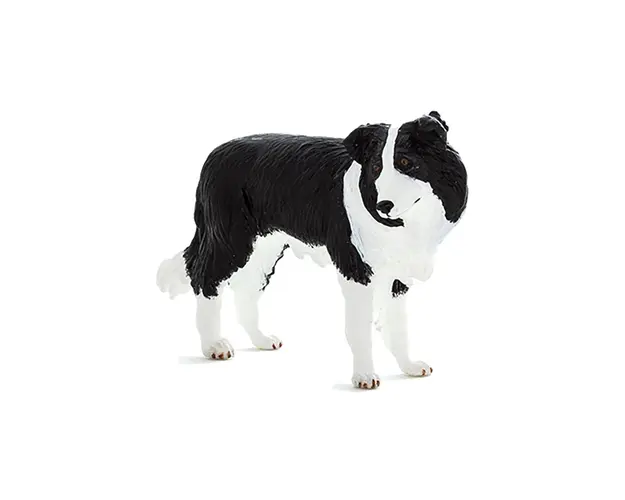 Figurina Mojo, Caine Border Collie