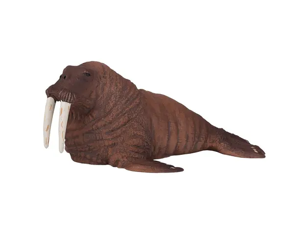 Figurina Mojo, Morsa