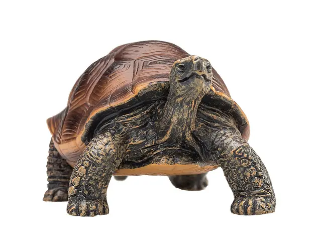 Figurina Testoasa giganta Mojo