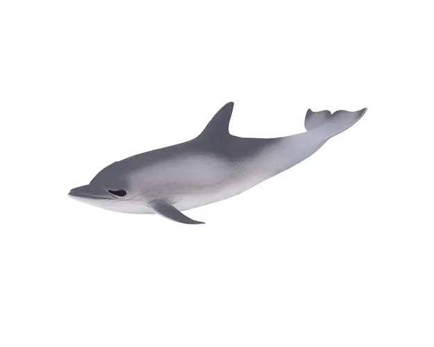 Figurina Mojo, Delfin