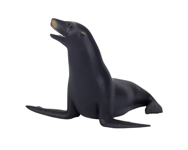 Figurina Mojo, Leu de mare Californian