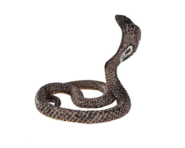 Figurina Mojo, Cobra regala 