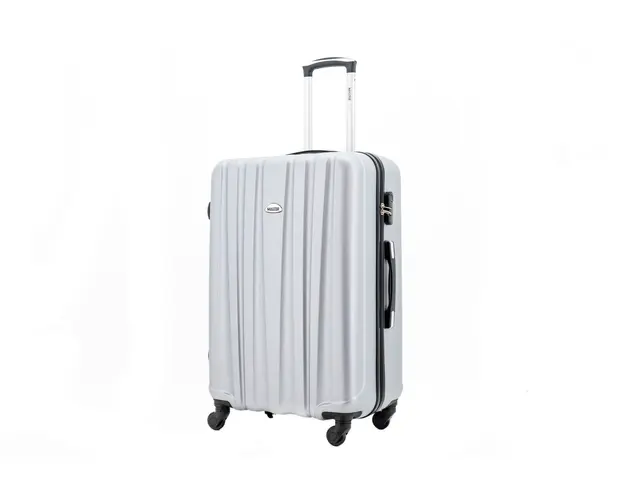 Troler Master Costa, argintiu, 71 x 47 x 28 cm