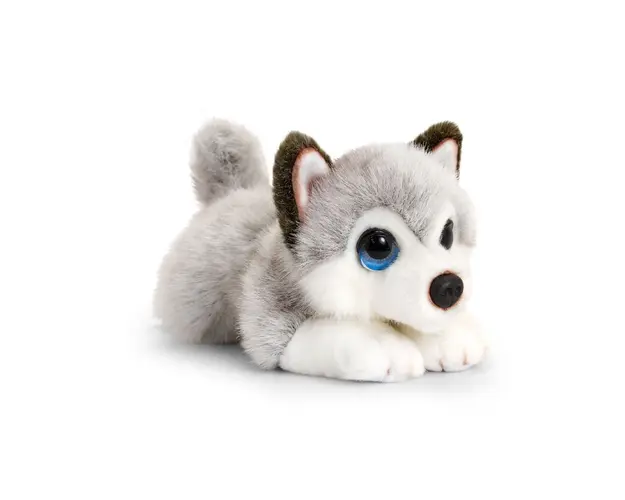 Jucarie de plus Keel Toys, Catel Husky, 25 cm