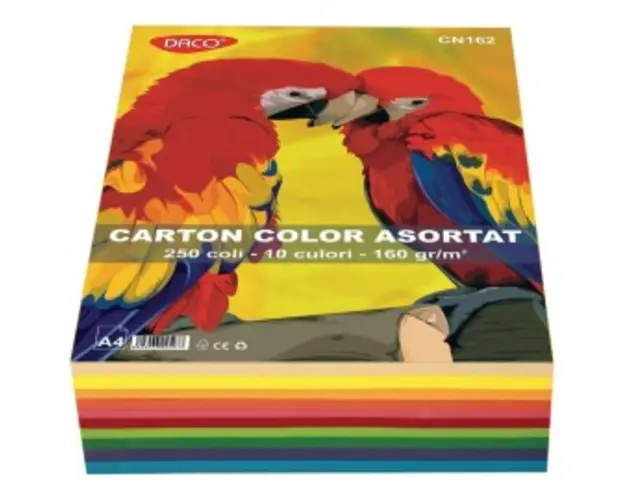 Carton A4 color asortat 10 culori