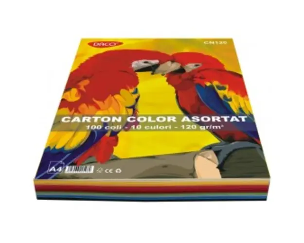 Carton A4 color asortat 100 coli - Clariana CN120