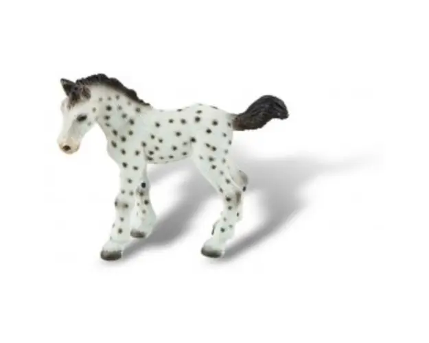 Manz cal Knabstrupper