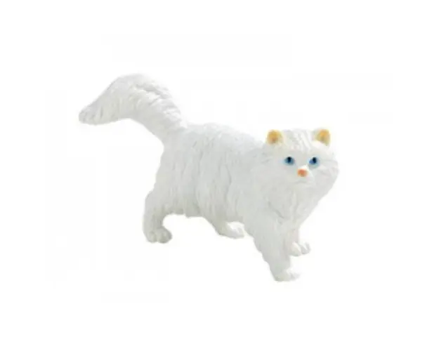 Pisica persana Princess