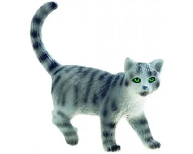 Pisica vargata Minka