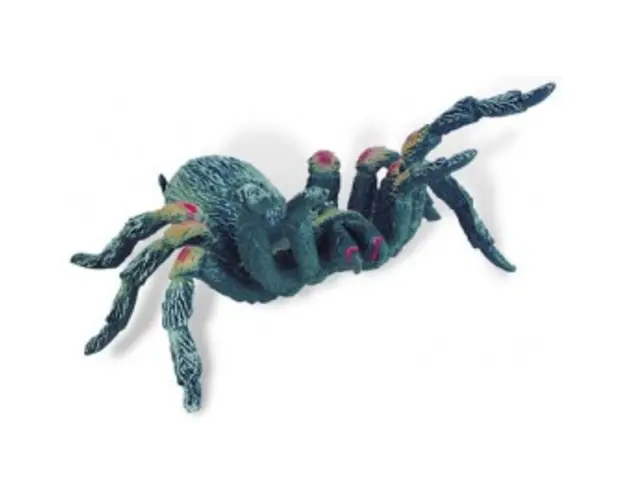 Tarantula