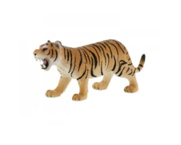 Tigru NEW