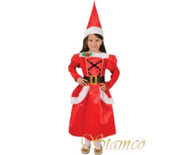 Costum Craciunita