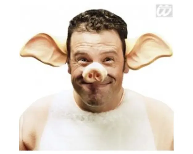 Nas porcusor