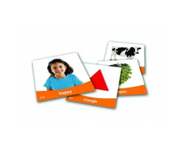 Set imagini vocabularul de baza