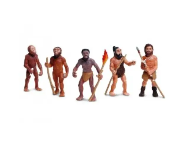 Set de figurine Evolutia omului