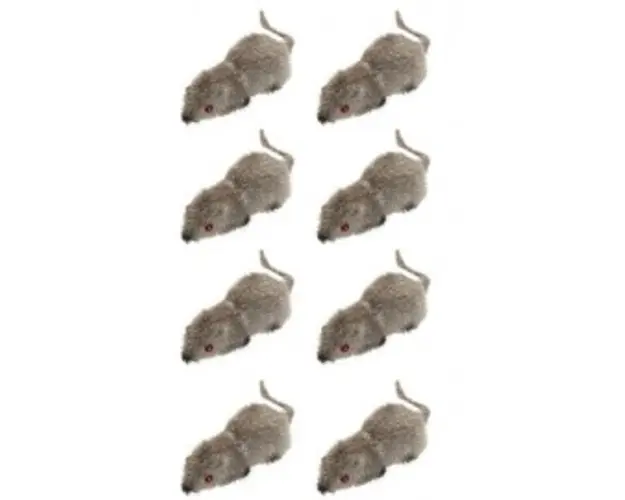 Set 8 soricei
