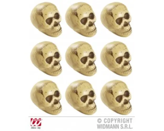 Set capete schelet