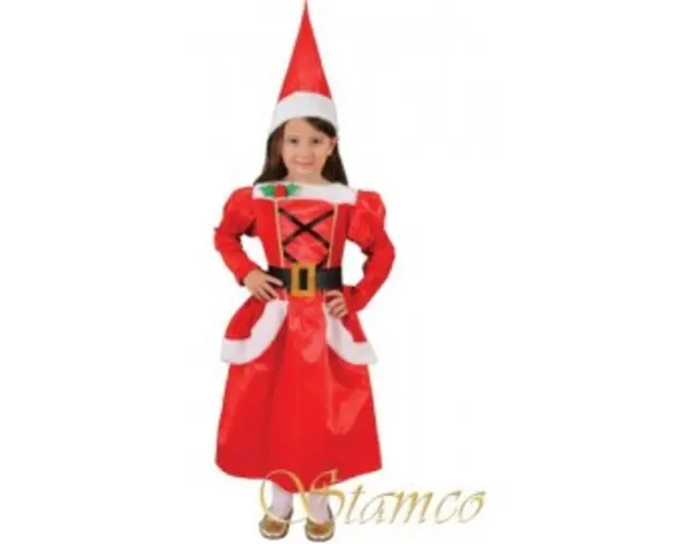 Costum miss santa