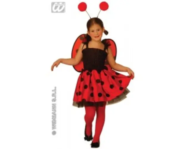 Costum carnaval copii - Buburuza
