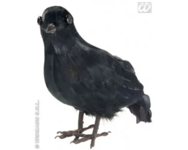 Decor Halloween - Cioara