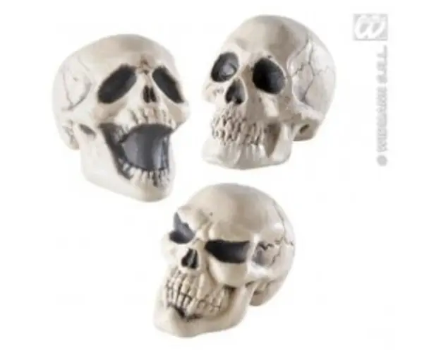 Decor Halloween - Craniu