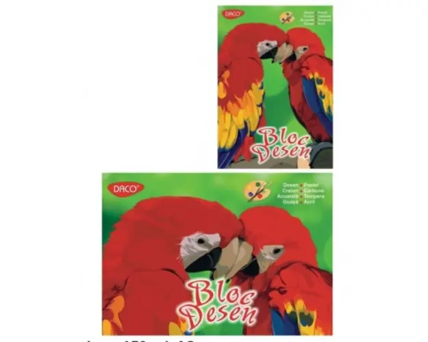 Bloc desen A3 16 file 170 gr Daco