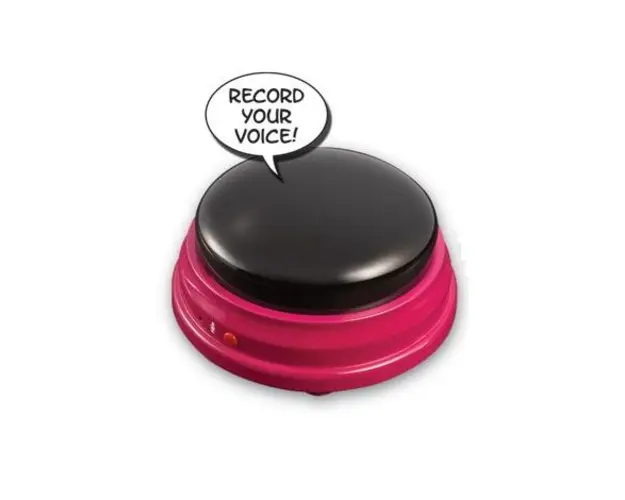 Buzzers (cu functie de inregistrare)