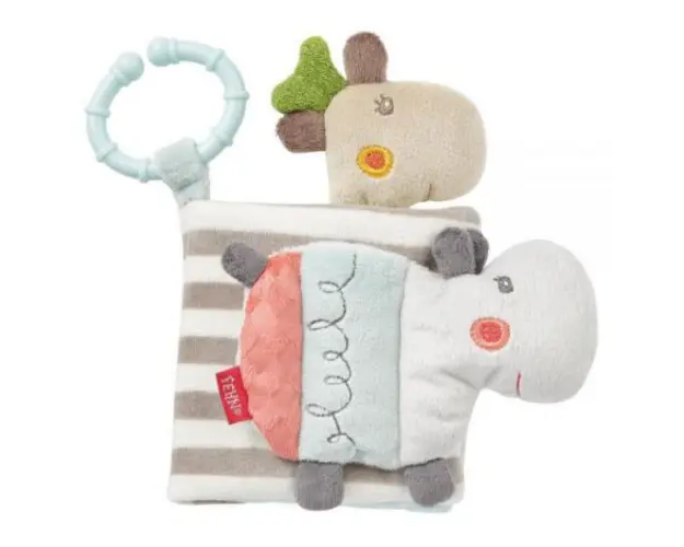 Carticica din plus - loopy si lotta