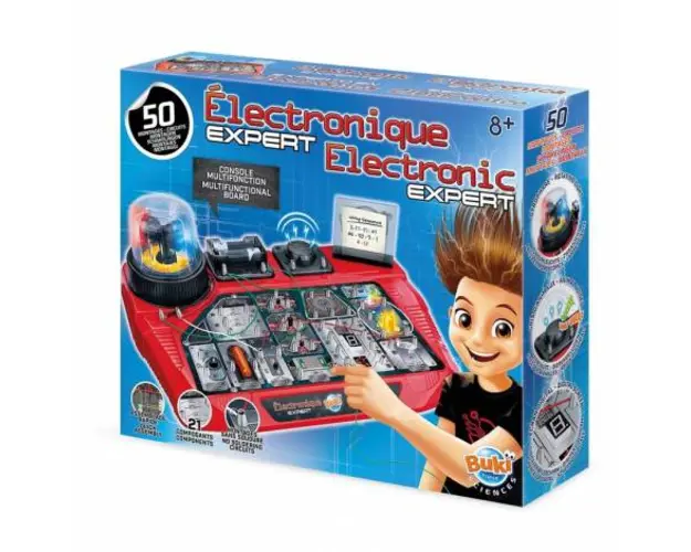 Expert in electronica