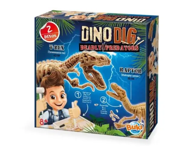 Kit de sapat - Dinozaur