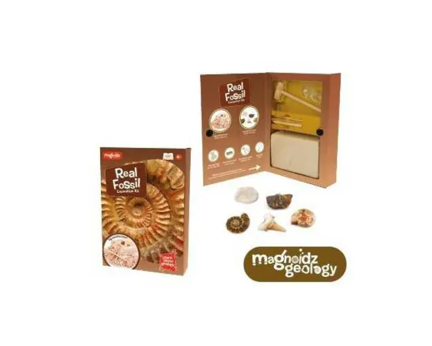 Kit paleontologie - descopera fosile