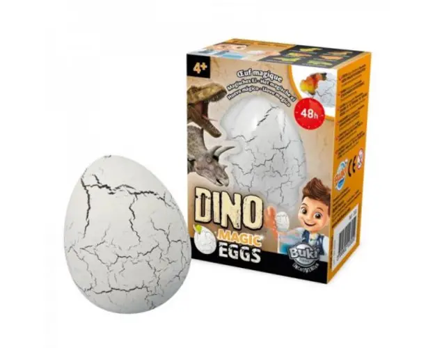 Oul magic Dino