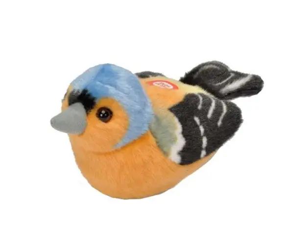 Pasare cu sunet Cinteza - CHAFFINCH