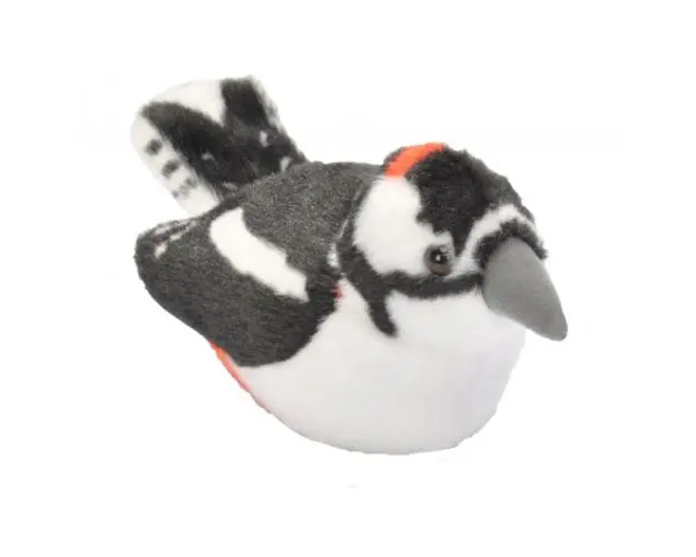 Pasare cu sunet Ciocanitoare Pestrita - GREAT SPOTTED WOODPECKER