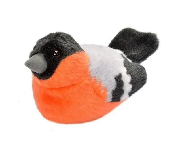 Pasare cu sunet Mugurar - BULLFINCH
