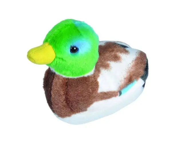 Pasare cu sunet Rata Salbatica - MALLARD DUCK