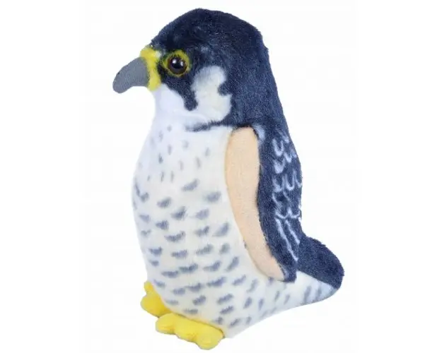 Pasare cu sunet Soim Calator - PEREGRINE FALCON