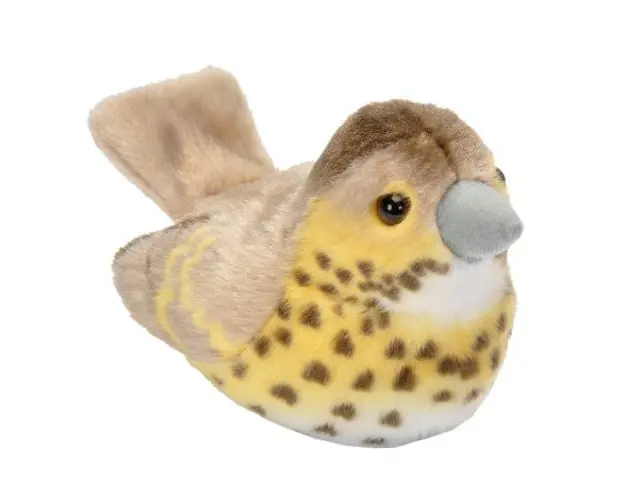 Pasare cu sunet Sturz cantator - SONG THRUSH