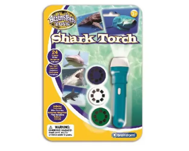 Proiector tip lanterna - rechini