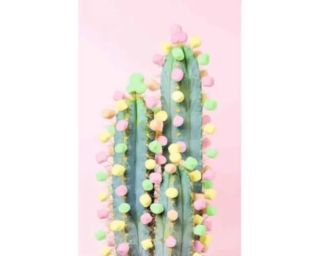 Puzzle Cactus, 200 Piese