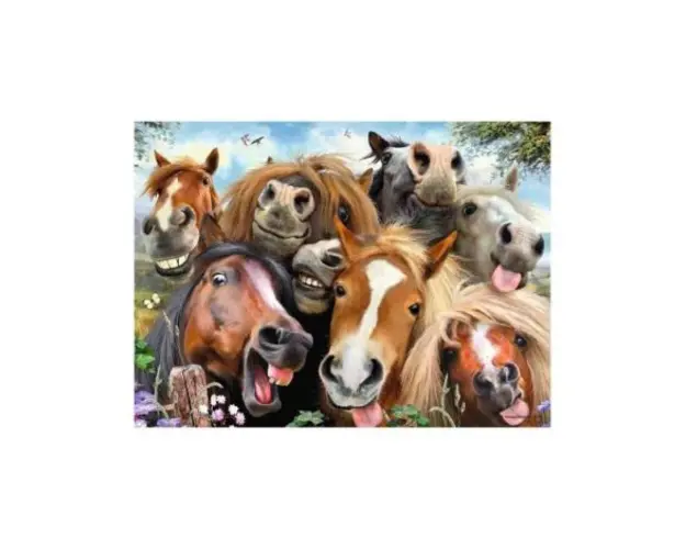 Puzzle Cai Zambitori, 500 Piese